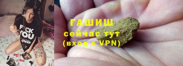 хмурый Арсеньев