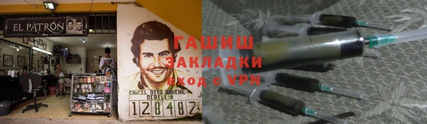 хмурый Арсеньев