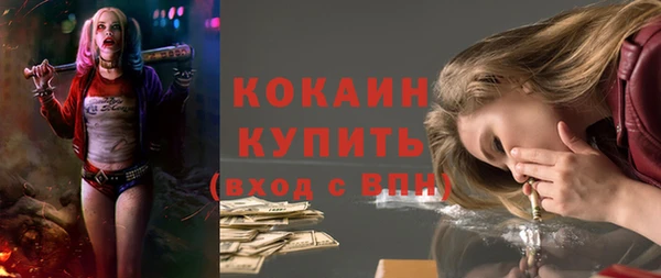 хмурый Арсеньев