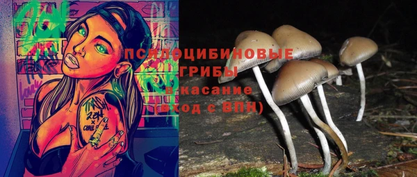 хмурый Арсеньев