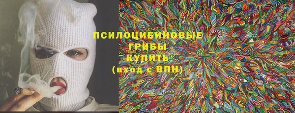 хмурый Арсеньев