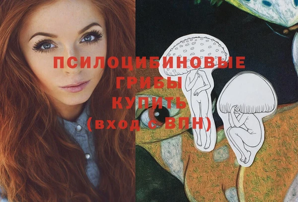прущая мука Медногорск