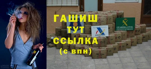 хмурый Арсеньев